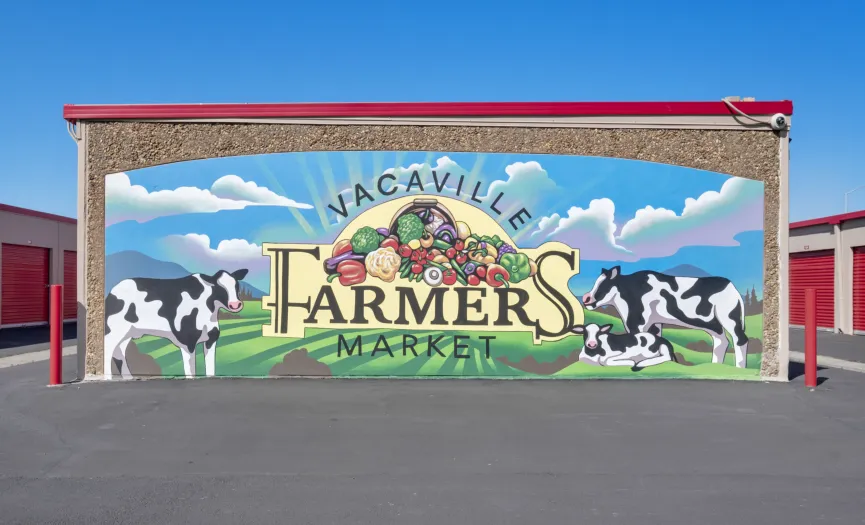 Vacaville Farmers Market mural with produce and farmland imagery at Security Public Storage on Leisure Town Rd in Vacaville, CA