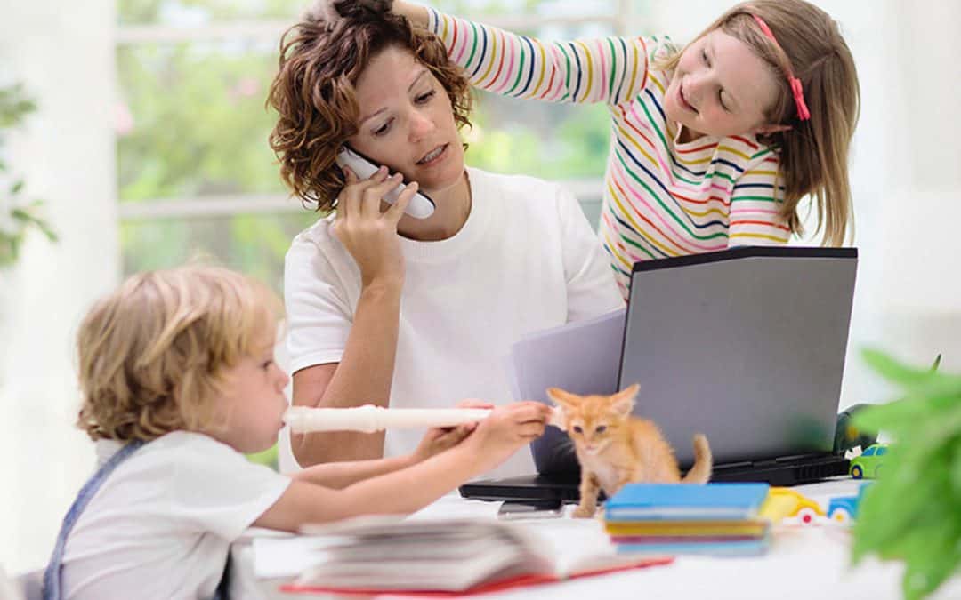 easing stress back to school organizing