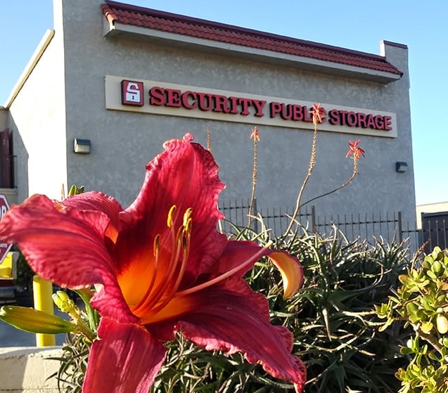 Security public storage spring flowers