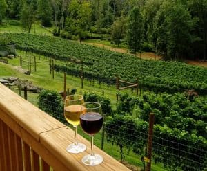 winery