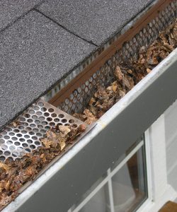 clean out gutters