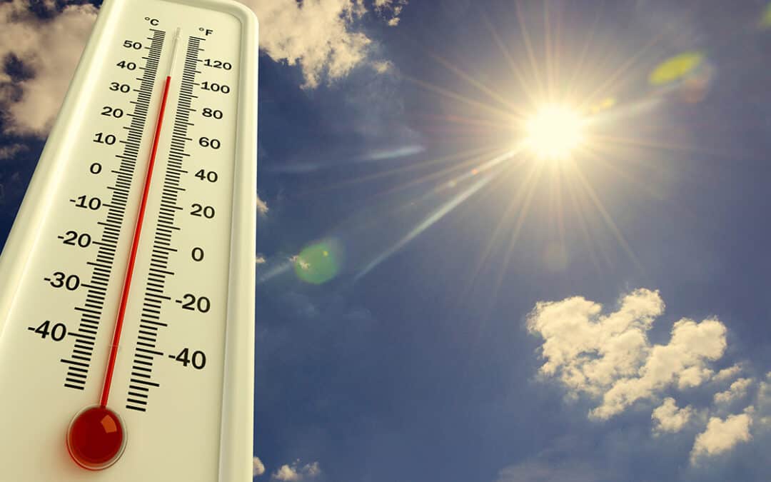 Climate-controlled storage units help beat the heat