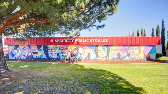 mural at storage facility on fruitridge rd in sacramento