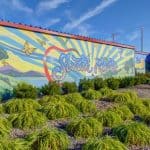 mural on hopper ave in santa rosa