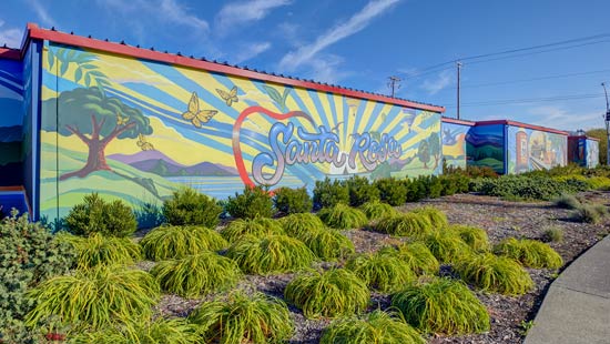 mural on hopper ave in santa rosa