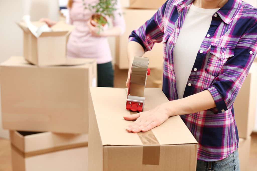 Long-term storage preparation