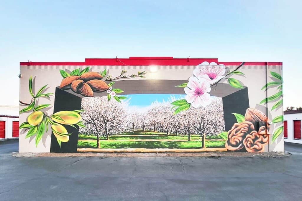 modesto almond blossom mural