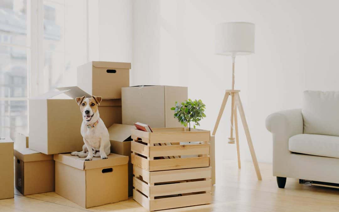 Moving to a New City, State or Unfamiliar Area