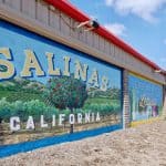 mural-salinas