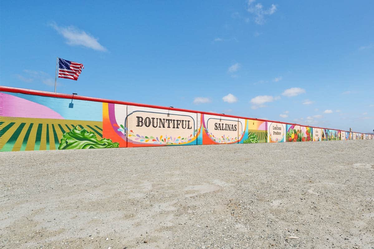 mural-salinas-south-wall salinas mural