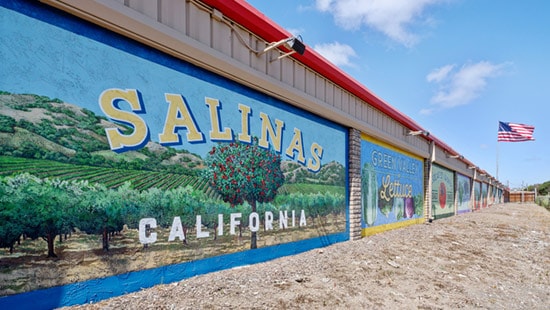 mural-salinas
