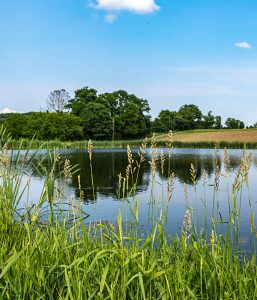 retention pond
