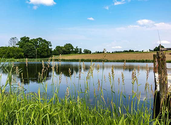 Pond,With,High,Grass,And,An,Empty,Field.,Empty,Field retention ponds at self storage facilities