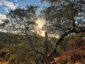 hiking in vacaville, CA