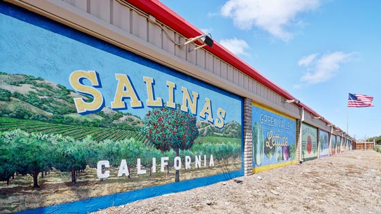 salinas-mural