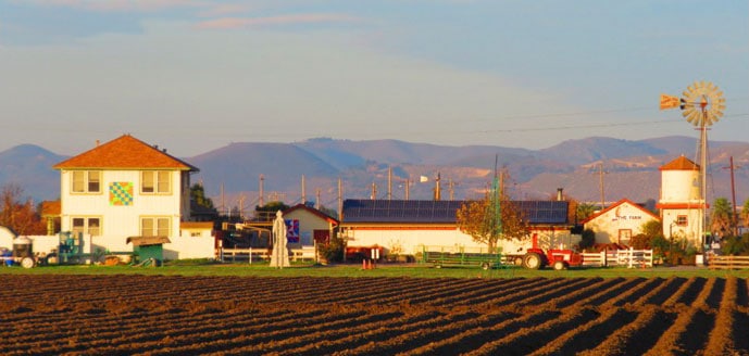 The organic fields of Salinas' The Farm