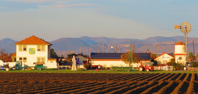 The organic fields of Salinas' The Farm