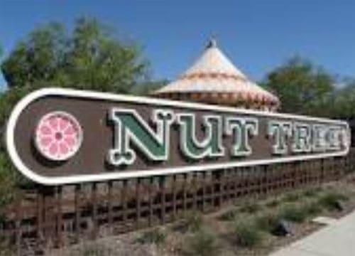 The Nut Tree