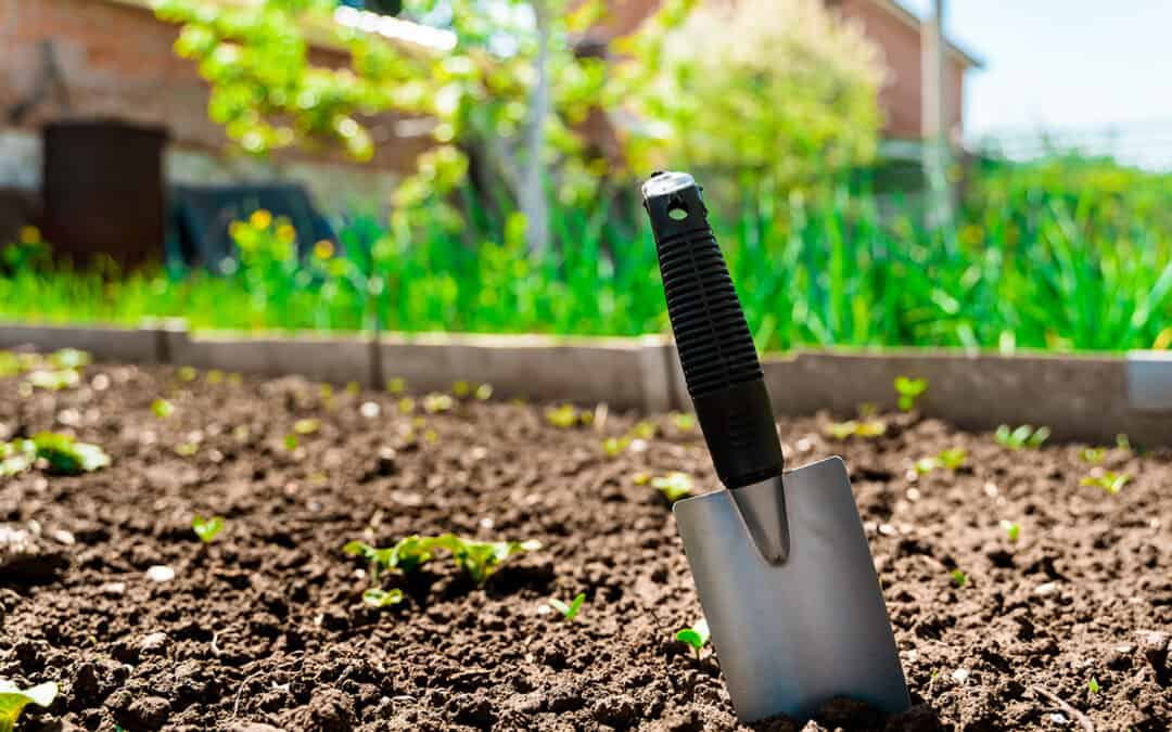 Spring Garden Prep – Get Ready to Grow with Help from SPS