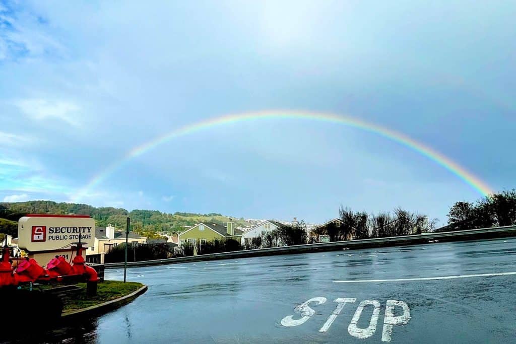 sps rainbow