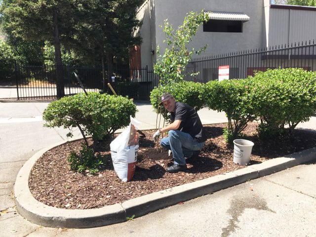 landscaping on storage facility property