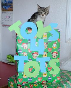 cat on presents