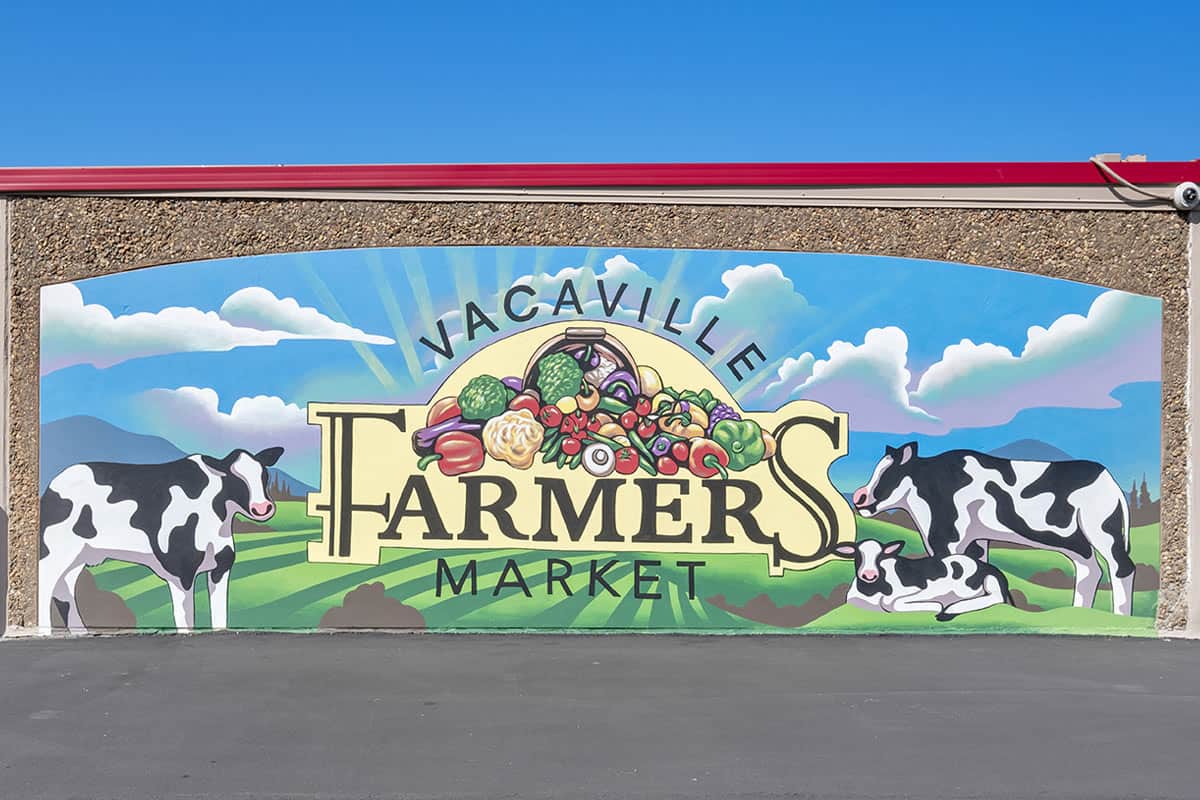 Vacaville Community Art Mural Security Public Storage