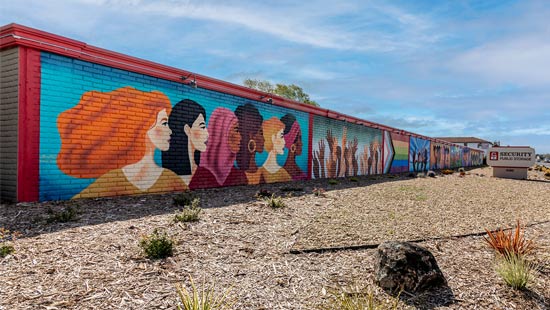 vallejo-self-storage-mural