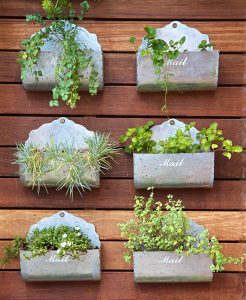 vertical gardening