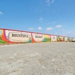 wall-mural-salinas