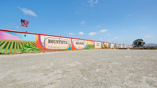 wall-mural-salinas