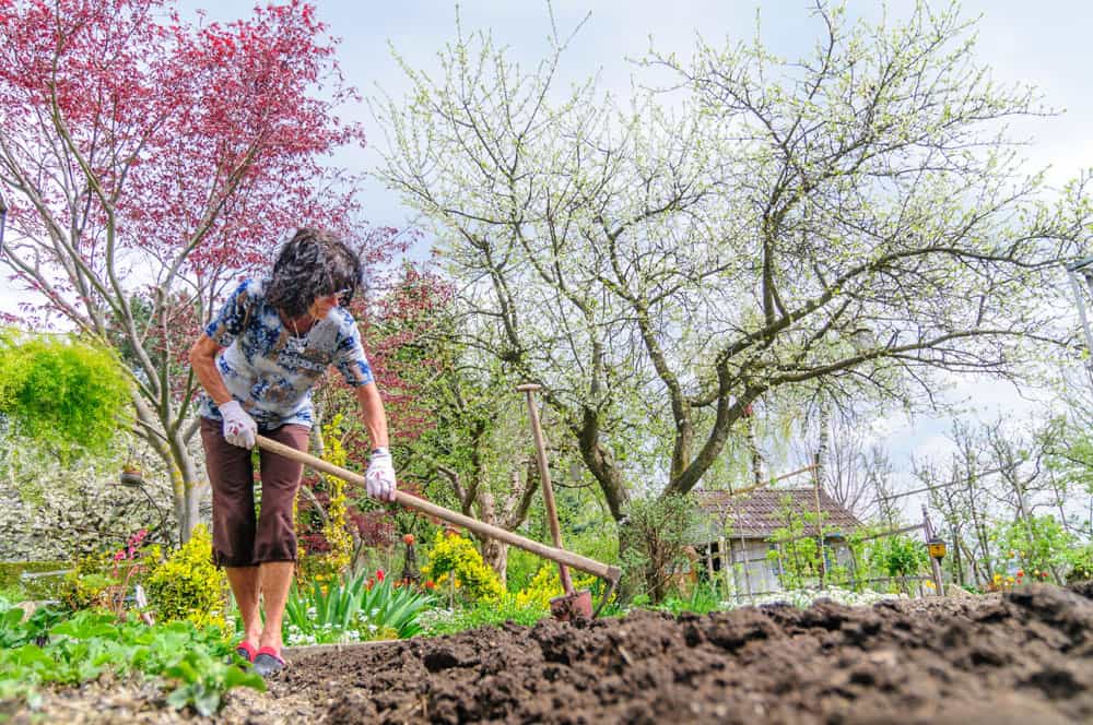 digging over the ground